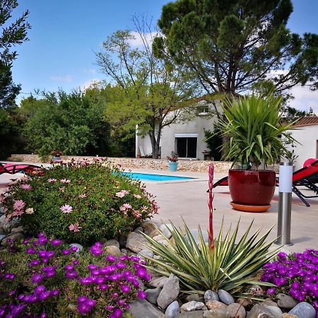 Mas Des Tournevents Bed & Breakfast Lezignan-Corbieres Ngoại thất bức ảnh