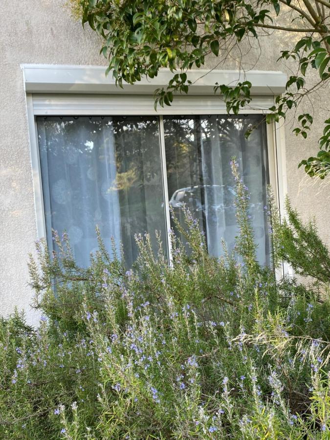 Mas Des Tournevents Bed & Breakfast Lezignan-Corbieres Ngoại thất bức ảnh