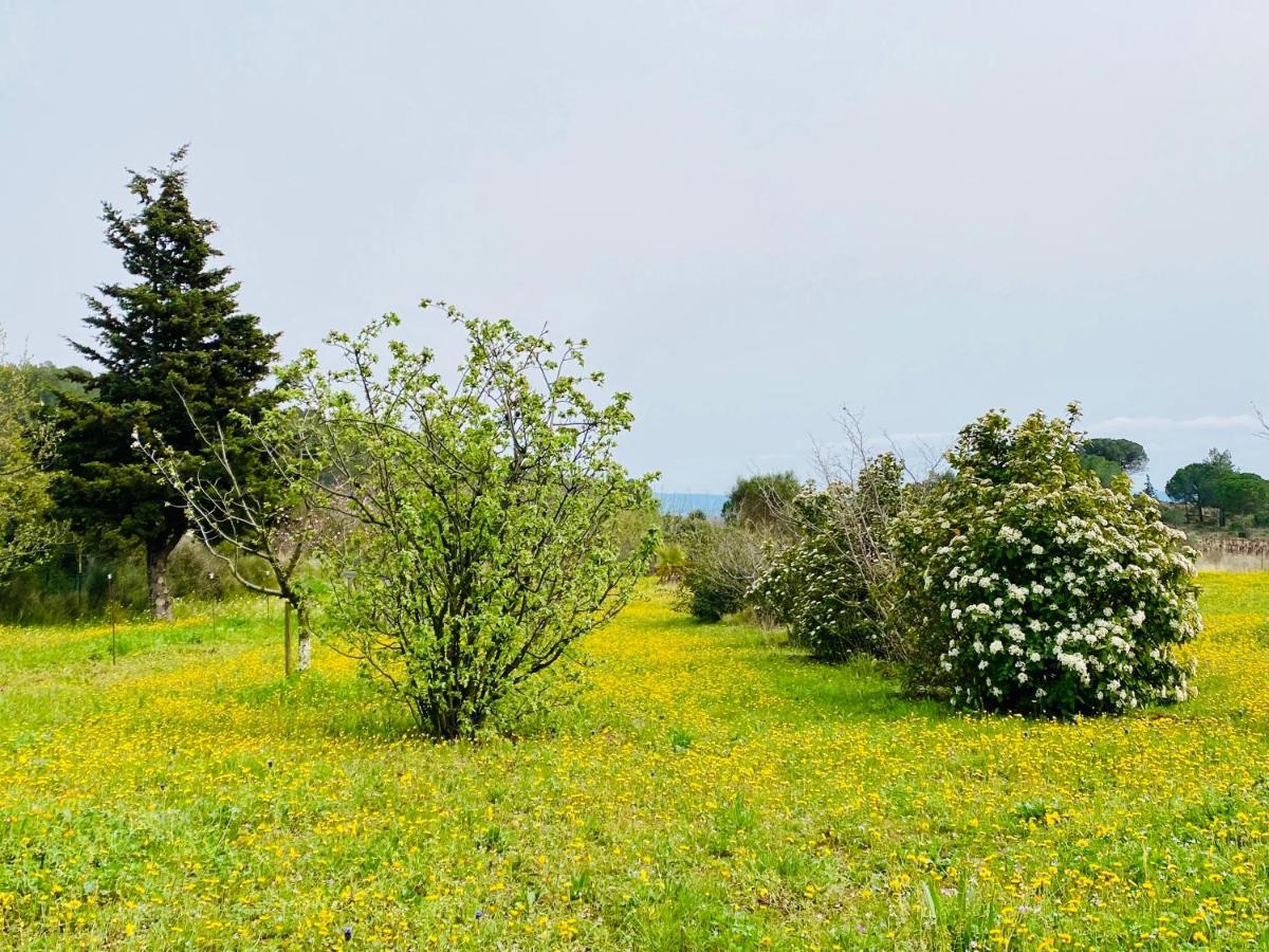 Mas Des Tournevents Bed & Breakfast Lezignan-Corbieres Ngoại thất bức ảnh