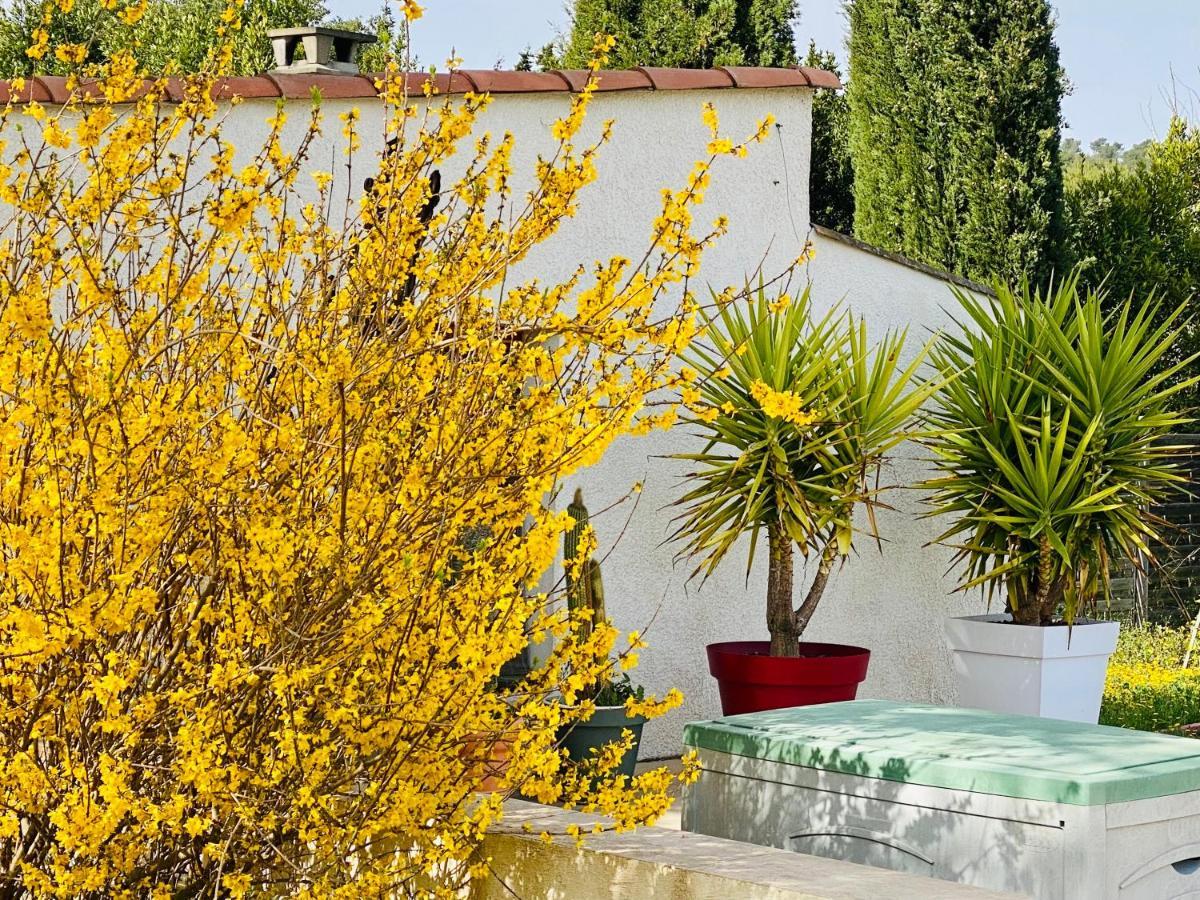 Mas Des Tournevents Bed & Breakfast Lezignan-Corbieres Ngoại thất bức ảnh